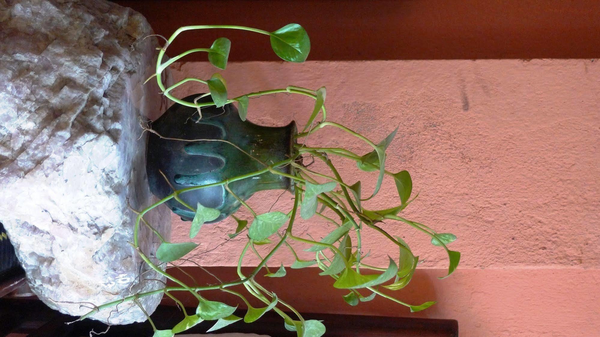Garden Queen Khách sạn Hà Nội